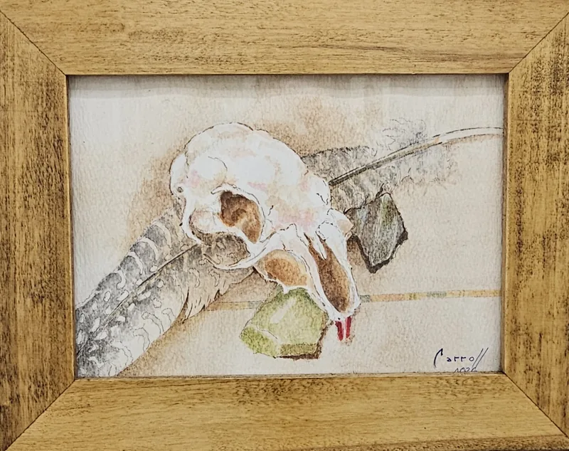 Artwork by Carroll
